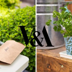 Style the Garden Perfectly with V and A