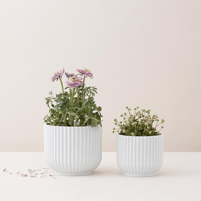 Lyngby Porcelaen Lyngby Flowerpot, White Porcelain